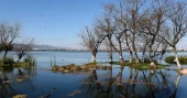 Forum on global ecological development held in southwest China