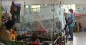 Year’s dengue death toll hits 50