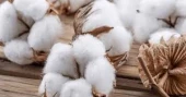 Bangladesh to receive tariff reduction on apparel produced using US cotton
