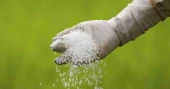 No fertiliser crisis in Bangladesh, strict action against hoarders: Food Minister