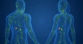 More than 1,000 genetic switches may explain sex differences in immunity