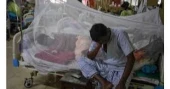 Dengue: 62 more dengue cases reported in 24hrs