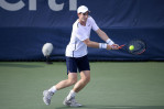 Andy Murray, brother Jamie ousted in Citi Open doubles