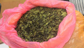 Khat – new drug on the block
