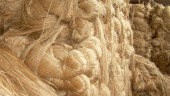 Jute export ban still haunts Khulna traders