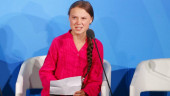 Swedish climate activist Thunberg wins 'Alternative Nobel'