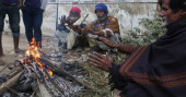 No relief from cold wave; poor people suffer   