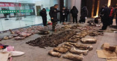 China virus outbreak revives calls to stop wildlife trade