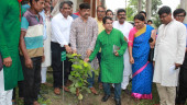 Tree plantation festival held at IU