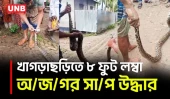 খাগড়াছড়িতে ৮ ফুটের বার্মিজ অজগর উদ্ধার; না মেরে বন বিভাগে দিলেন গ্রামবাসী | Khagrachari | UNB