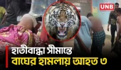 লালমনিরহাট সীমান্তে বাঘের আ/ক্র/মণে আহত ৩, ৬ রাউন্ড গু/লি বিজিবির | Lalmonirhat | Tiger Attack | UNB
