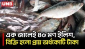 কুয়াকাটা সাগরে কপাল খুলল জেলেদের, ৫ বছর পর মিলল ইলিশের বড় চালান | Kuakata | Hilsa Fish | BD | UNB