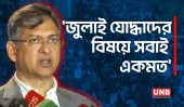 সাংবিধানিক ও জুলাই সনদ দু'টাই প্রাধান্য পাচ্ছে: স্বরাষ্ট্রমন্ত্রী | Salahuddin Ahmed | UNB