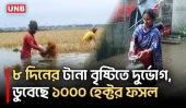 বাগেরহাটে টানা বৃষ্টিতে নিম্নাঞ্চল প্লাবিত, শিক্ষার্থী ও শ্রমজীবীদের দুর্ভোগ | Bagerhat | Rain | UNB