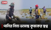 কিশোরগঞ্জে বৃষ্টিতে তলিয়ে গেছে ৭ হাজার হেক্টর জমি | Kishoreganj Flood | Crop Damage | UNB