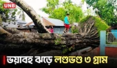 কুষ্টিয়ায় হঠাৎ ভয়াবহ ঝড়, ল/ণ্ড/ভ/ণ্ড ৩ গ্রাম! উপড়ে গেল শতবর্ষী বটগাছ | Storm Damage | Disaster | UNB