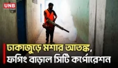 রাজধানীতে মশার উপদ্রব বেড়ে যাওয়ায় ফগিং কার্যক্রম বাড়াল সিটি কর্পোরেশন | Mosquito Control | UNB