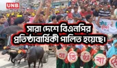 পাঁচ জেলায় র‌্যালি ও নানা আয়োজনে বিএনপির ৪৮তম প্রতিষ্ঠাবার্ষিকী উদযাপন | BNP Anniversary | UNB