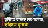 বাগেরহাটে টানা বৃষ্টি কৃষকদের জন্য বড় আশীর্বাদ | Continuous Rains | Big Blessing | Farmers | UNB