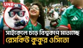 মেক্সিকো জার্সি পরে বিশ্বকাপে ভাইরাল রেসকিউ কুকুর ওসিতো | Mexican Rescue Dog “Osito” | UNB