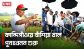 বাঁশিয়া খাল পুনঃখনন কার্যক্রমে প্রধানমন্ত্রী তারেক রহমান | Prime Minister Tarique Rahman | Sylhet