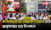 পটুয়াখালীর কলাপাড়ায় গোলের গুড় উৎপাদনে ২৪০ চাষি পেলেন আধুনিক সরঞ্জাম ও প্রশিক্ষণ | Patuakhali | UNB