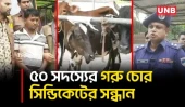 বাগেরহাটে আন্তঃজেলা গরু চোর সিন্ডিকেটের হোতাসহ ৩ আটক, ১১ গরু উদ্ধার | Bagerhat | Cow Theft | UNB