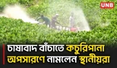 চলনবিলের নদ-নদীতে কচুরিপানা সংকট কাটাতে স্থানীয়দের উদ্ভাবিত কাটার নৌযান ব্যবহার | Natore | UNB