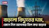 বিদ্যুতের নতুন দাম ঘোষণা, কত ইউনিটে কত টাকা গুনতে হবে? | Electricity Price | BERC | UNB