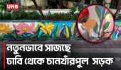 পহেলা বৈশাখে গ্রাফিতি ও সবুজায়নে বদলে গেল ঢাবি-চানখাঁরপুল সড়ক | Pohela Boishakh | UNB