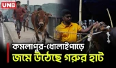 ঈদুল আজহা সামনে রেখে রাজধানীর অস্থায়ী গরুর হাটে জমে উঠেছে কেনাবেচা | Dhaka Cattle Market | UNB
