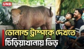 ঈদের ছুটিতে জাতীয় চিড়িয়াখানায় ভিড়, মূল আকর্ষণ সাদা মহিষ ‘ডোনাল্ড ট্রাম্প’ | Donald Trump | UNB