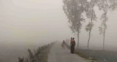 Moderate to thick fog likely across the country over 24 hours