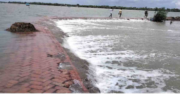 Satkhira flood washes away Tk8.28 crore worth of fish, crab, shrimp