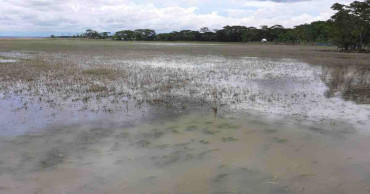 Sharankhola paddy farmers struggling with rise in salinity post-Amphan