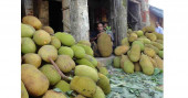 Corona, Amphan: Popular jackfruit haat in Jashore takes a hit