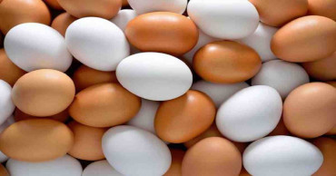 Price of eggs to be brought within purchasing capacity of masses: Minister
