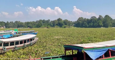 Commute woes for Rangamati HSC examinees as Kaptai Lake clogged with water hyacinth