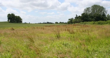 What to Consider Before Buying Land: A Step-by-Step Guide