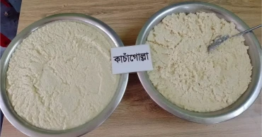 Natore’s ‘Kachagolla’ latest Bangladeshi product to get GI recognition
