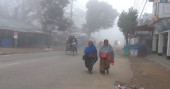 Cold-related diseases affect 4,388 people in 24 hrs