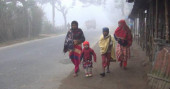 Cold-related diseases affect 4,110 people in 24 hrs