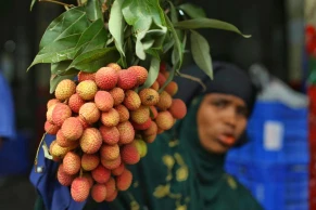 Seasonal fruits in the market