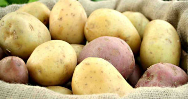 Bangladesh to supply potato to Russia, says Russian Embassy