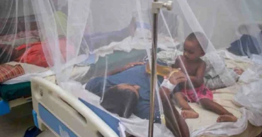 Dengue cases surge: 35 patients hospitalised in 24 hrs