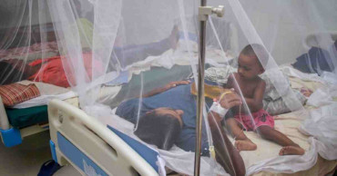 13 dengue cases recorded in 24 hrs