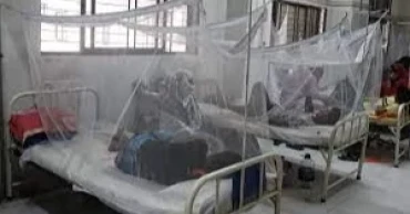2 more dengue patients die, 323 new hospitalised