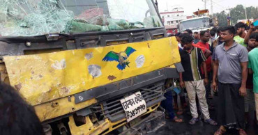 7 killed in Rajbari road crash