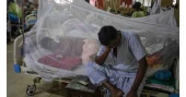 3 more dengue patients hospitalised in 24 hrs