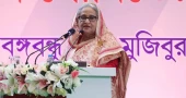 Govt steps brought unemployment down to 3 percent: PM Hasina 
